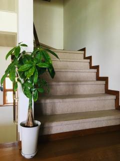 Hotel Radish House - Senboku - 4