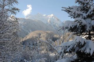 Ferienhof Oblasser - Mayrhofen - 2
