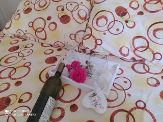 Apartmani Marić In - 1