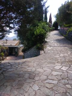 Appartamento Azalea - Montale - 0