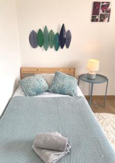 Aurel's & Jul's Location-Luxeuil Meublés pour Professionnels Curistes et Touristes - 8