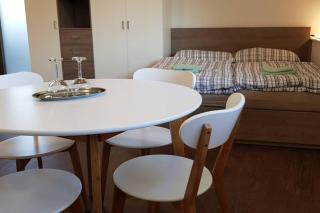 Suite with back garden - 7