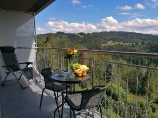 Apartament widokowy ul Bukowa Wisła - Wisła - 9