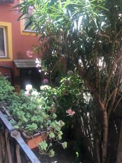 Appartamento Fiordaliso - Montale - 0