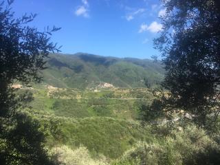 Appartamento Azalea - Montale - 5