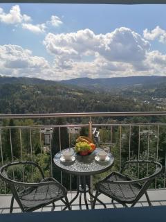 Apartament widokowy ul Bukowa Wisła - Wisła - 1