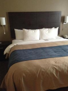 Comfort Inn & Suites Waterloo - Cedar Falls - Waterloo - 9