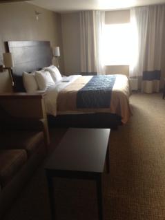 Comfort Inn & Suites Waterloo - Cedar Falls - Waterloo - 4
