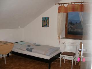 Penzion U Lesa - Budweis - 9
