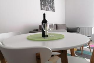Apartman Mila, Banja Koviljača - 4