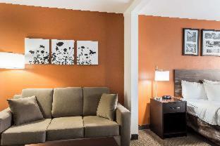 Sleep Inn - North Liberty - 7