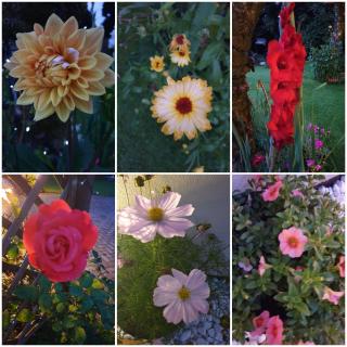 Richlands Homestay - Tondu - 6