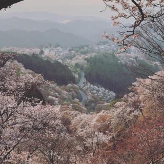 あまね庵 Villa Amane - Hase - 2