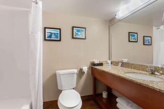 Comfort Inn & Suites Milford - 4