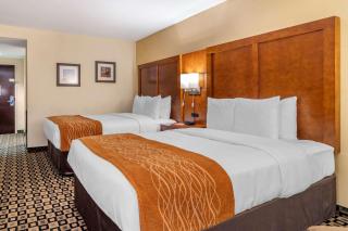 Comfort Inn & Suites Athens North - Athens - 3