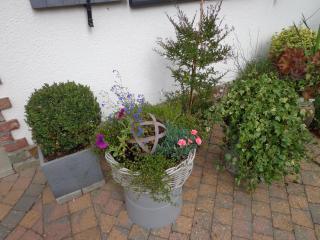 Le Chant du Merle - 4