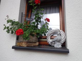 Le Chant du Merle - 7