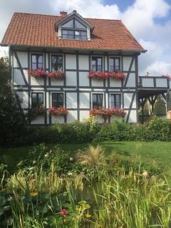 Schöne gemütliche Ferienwohnung mit Kamin I im Harz - Darlingerode - 1