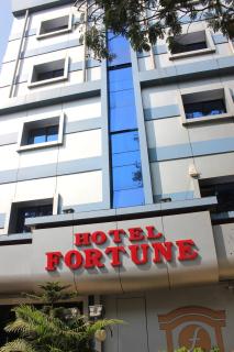 Hotel Fortune - Mumbai - 9
