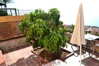 Apartamentos Casa Junonia - Alajeró - 1