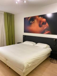 Dav'hotel Jaude - Clermont-Ferrand - 3