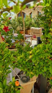 Vela Club House - 3