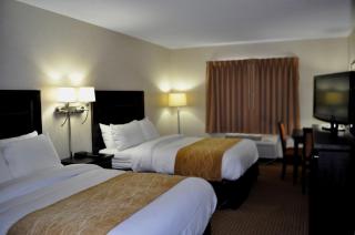Holiday Inn Express & Suites Pittsfield - Berkshires by IHG - Pittsfield - 4