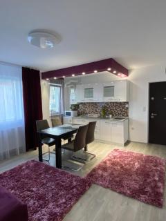 12 RESIDENCE APARTMENT - Cavnic - 0