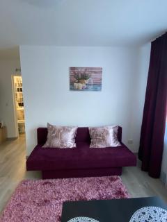 12 RESIDENCE APARTMENT - Cavnic - 5