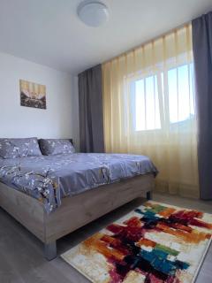 12 RESIDENCE APARTMENT - Cavnic - 2