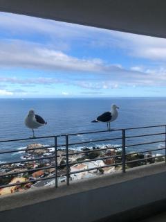 Apartamento Piso 19 Reñaca Vista al Mar - Viña del Mar - 8