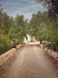 B&B Giovannarolla Green House - Ostuni - 6