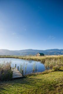 Kwetu Guest Farm - Swellendam - 5