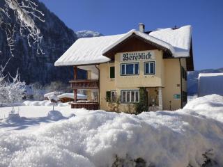 Haus Bergblick - Obertraun - 8