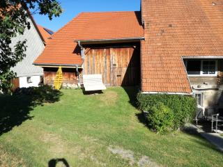 Familien Ferienwohnung Linder - Grafenhausen - 7
