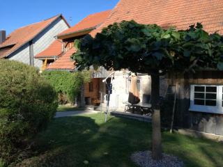Familien Ferienwohnung Linder - Grafenhausen - 6