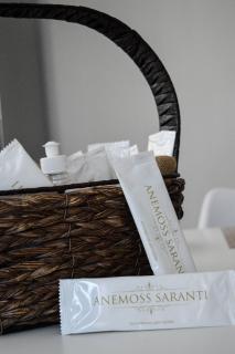 Anemoss Saranti - Paralia Saranti - 7