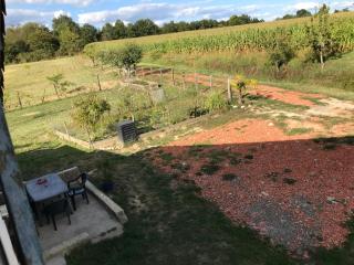Chambre chez l'habitant Corail cuisine et sdb partagées - 1
