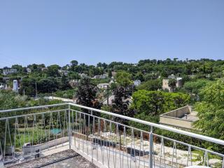 La Casetta Sul Trullo - Selva di Fasano - 6