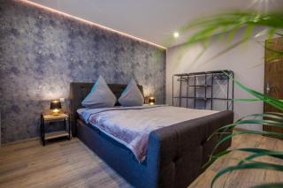 Modernes Apartment in Zentrumsnähe mit eigenem Stellplatz - Baden-Baden - 3