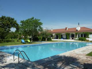 Holiday home in Montemor-o-Novo with pool - Montemor-o-Novo - 0