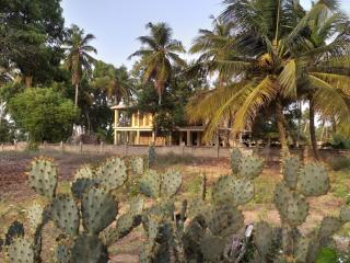 Laguna Lodge - 7