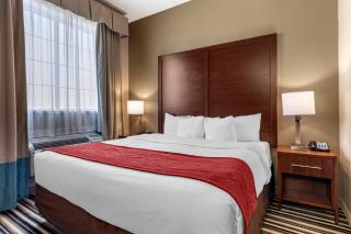 Comfort Suites Waco North - Near University Area - Waco - 2