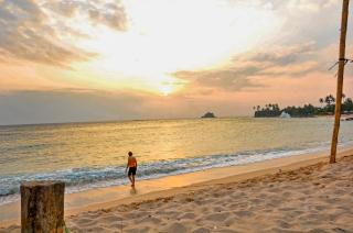 Paradise Bungalow - Weligama - 9