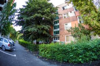 Apartament Family Rivulus 9 - Baia Mare - 1