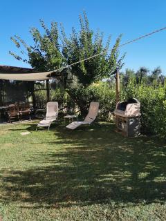 Podere Serena - Castagneto Carducci - 1