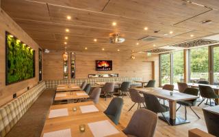 Steig-Alm Hotel Superior - 2