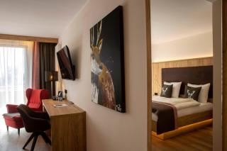 Steig-Alm Hotel Superior - 4