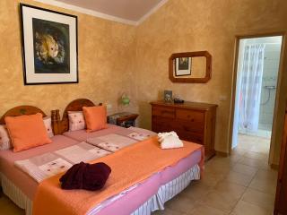 Casa Verde - Guía de Isora - 3