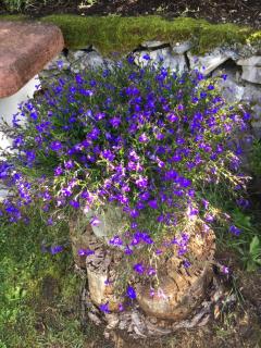 Villetta "Il Grillo" - 3